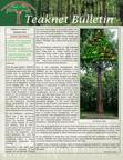News Letter Image 5(1)